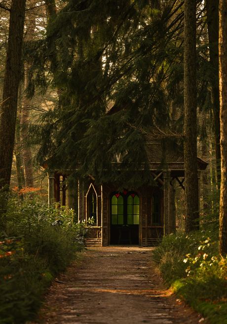 Theehuisje in het bos