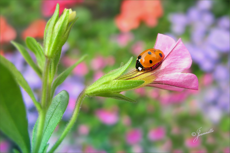 Gezellige Paasdagen!
