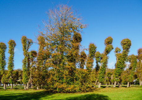 Herfst