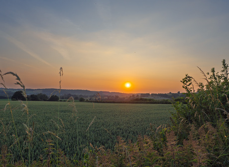 Goudenuurtje bij verzetsmonument in Eys (L)
