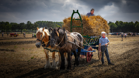 Met paard & wagen...