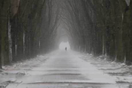 Iemand trotseert de sneeuw 