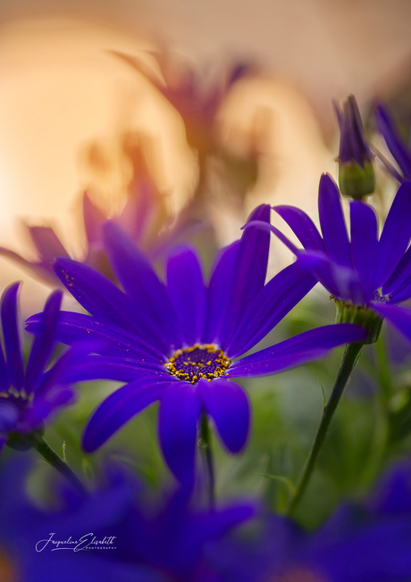 Embrace the unknown, it often leads to the best experiences.