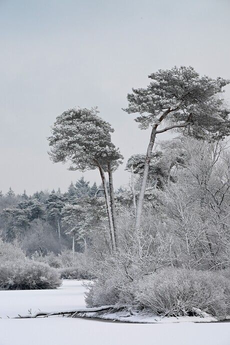 Winter in Nederland
