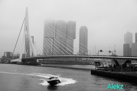 Erasmusbrug Rotterdam