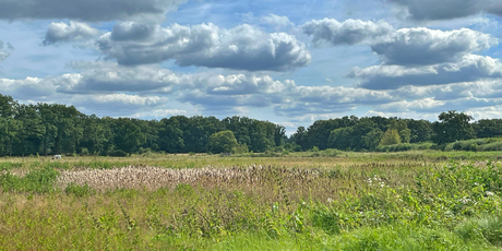 panorama Korenburgerveen
