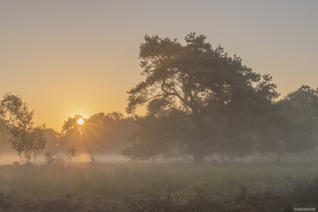 Zonsopkomst 