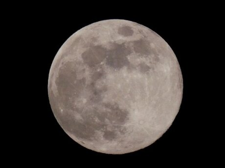 Volle maan