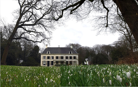 Het creme-wittehuis op de sneeuwklokjeslaan