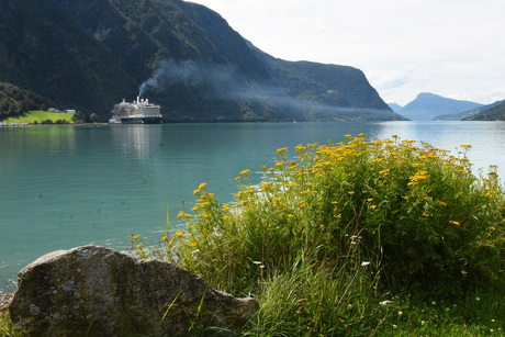 Einde van de fjord