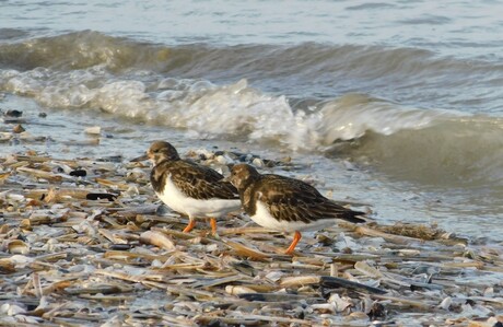 Leuk he....we lijken op elkaar!!