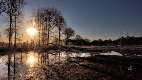 Ochtend gloren in het Boetelerveld.