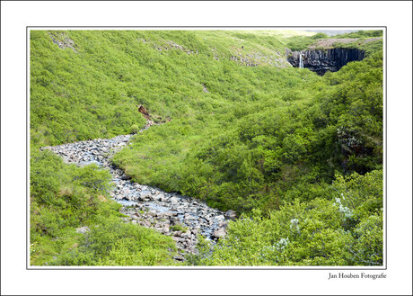 IJsland (3-58)