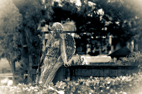 Please click on the link to go to my photo-video on YouTube.