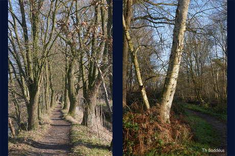 2411300835sm&xwbomen