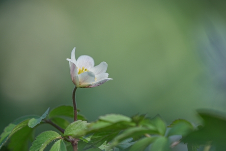 Reach out and touch...