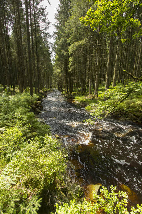 Ardennen Hoge Venen