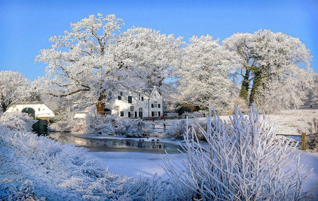 Sonsbeek in winter