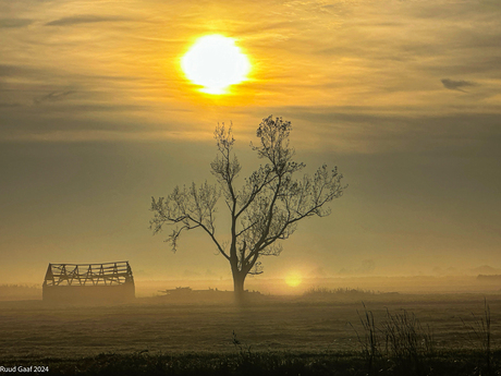 Mist in de polder