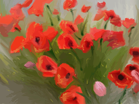 Rode klaprozen in het groen