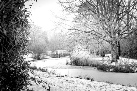 Winters laatste stuiptrekking?