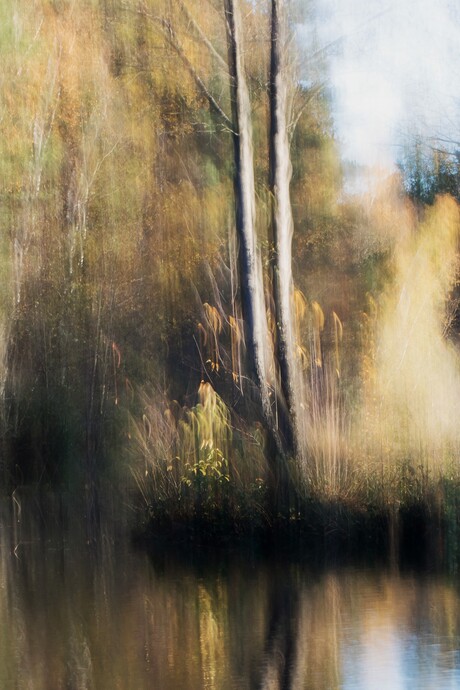 Een andere werkelijkheid