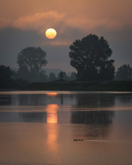 Stille ochtenden