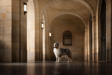 Stature