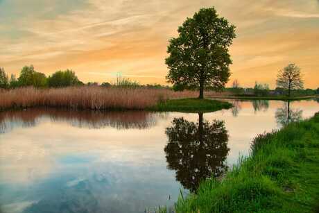 Zonsondergang 