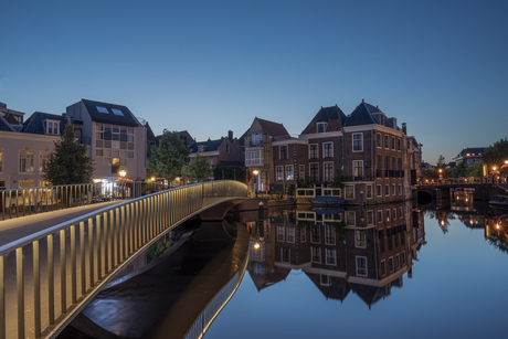 Blue Leiden