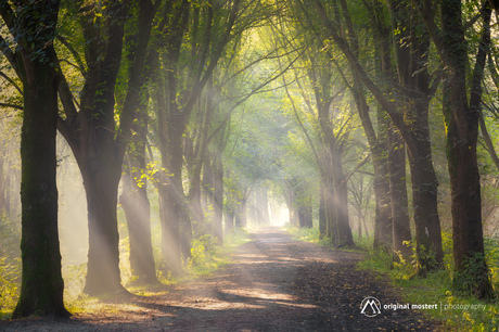 Light and Shadows...