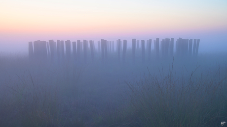 Grafheuvel in de mist!