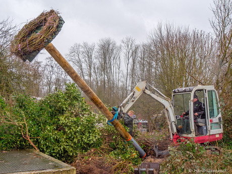 Plaatsing nieuw ooievaarsnest