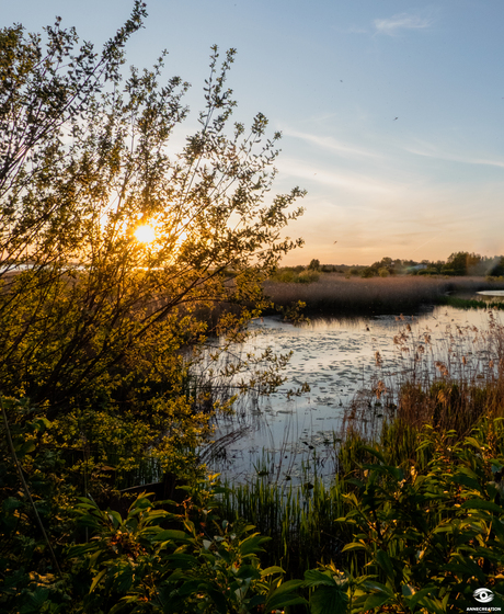 Landschap 