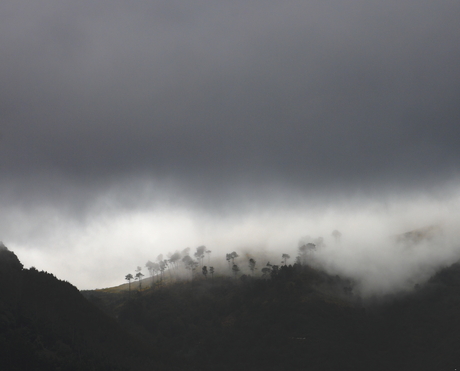 Madeira