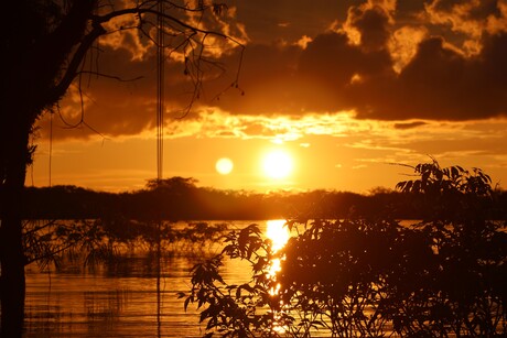 Zonsondergang Amazone