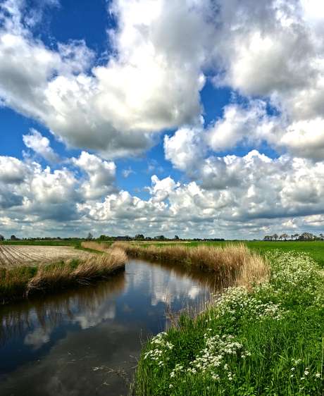 Noord Groningen