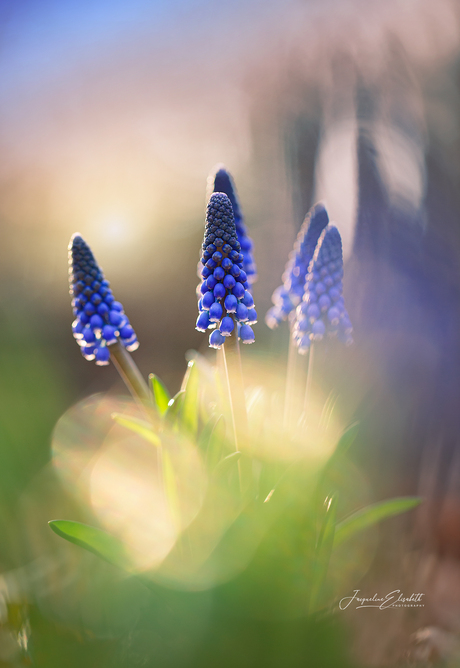 It's okay to stop doing and just be.