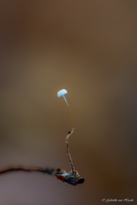 Living on the edge..