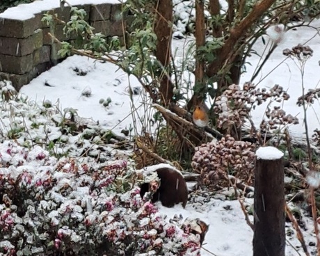 Nog een kerstkaartje