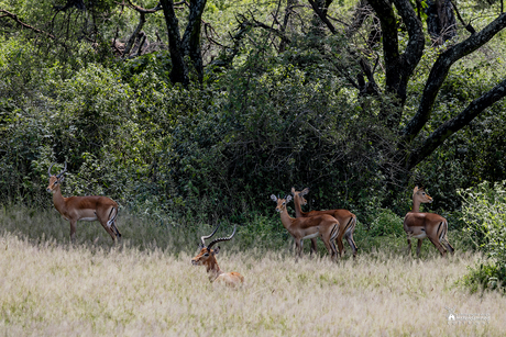 Lake Manyara