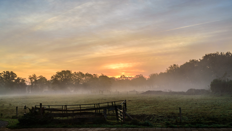 Goedemorgen 26 oktober