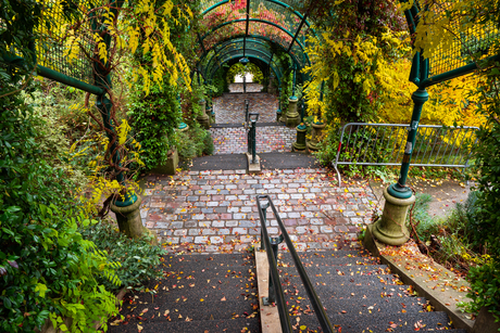 Trappen in de Herfst.