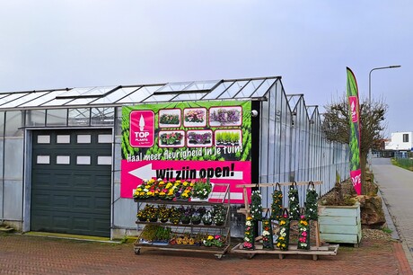 20260221  094855   Lente gevoel In Westland   Duidelijk  21 feb 2026  .