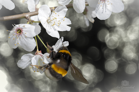 Zzzzoemend genieten.