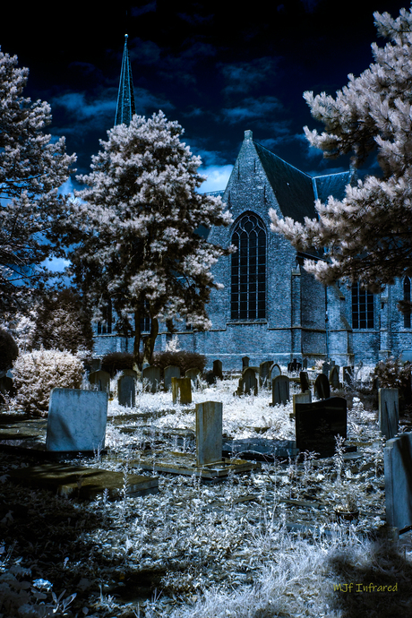 MJF Cemetaryfiles