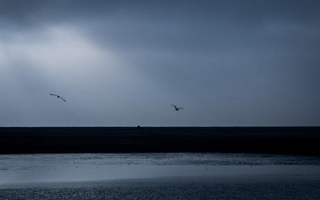 DUTCH SEASIDE