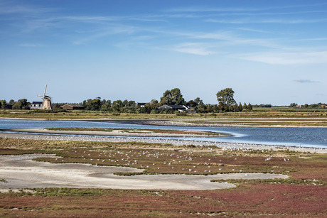 Langs de vogelboulevard.