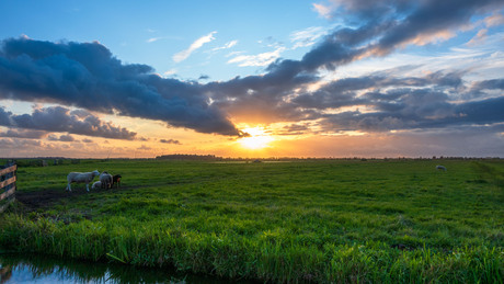 POLDER ZONSONDERGANG [1]
