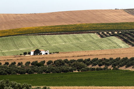 Prachtig landschap in Andalusie